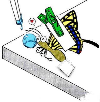 200000745fig1.jpg