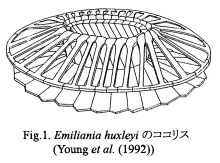 Fig.1