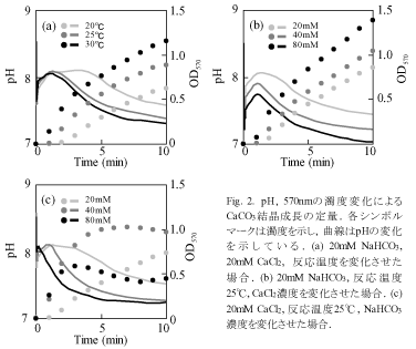 Fig.2