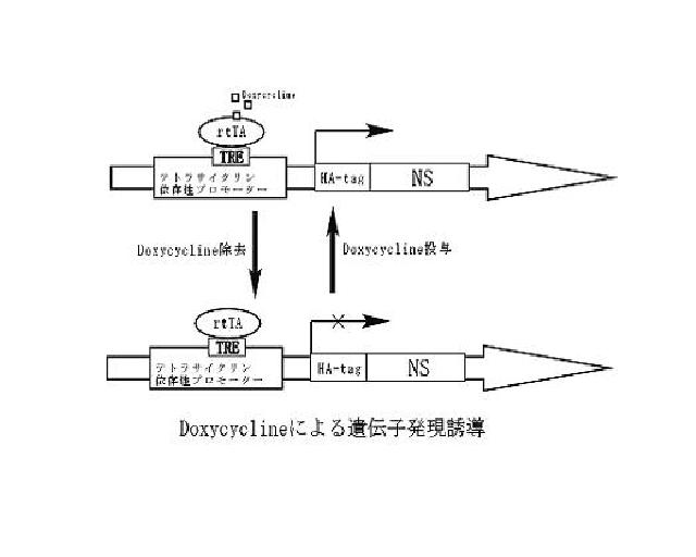200000811fig1.JPG