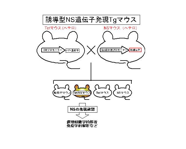 200000811fig2.JPG