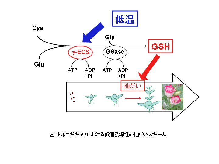 Tjb0406my