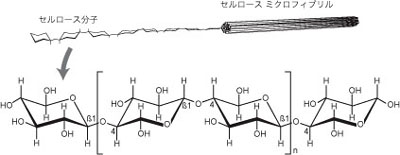 グルクロノラクトン