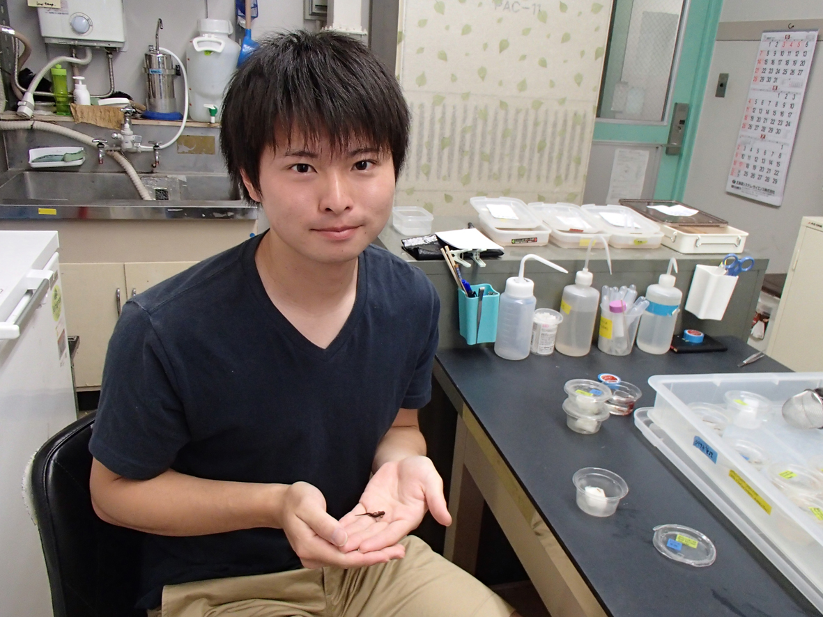美容のヒフ科学 | 安田 利顕, 漆畑 修 |本 | 通販 | Amazon