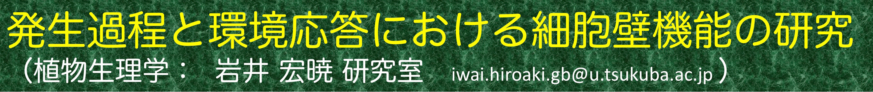 筑波大学 岩井宏暁 研究室