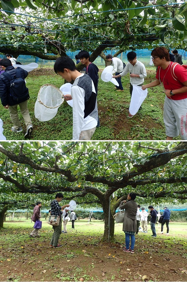 進化遺伝学実験